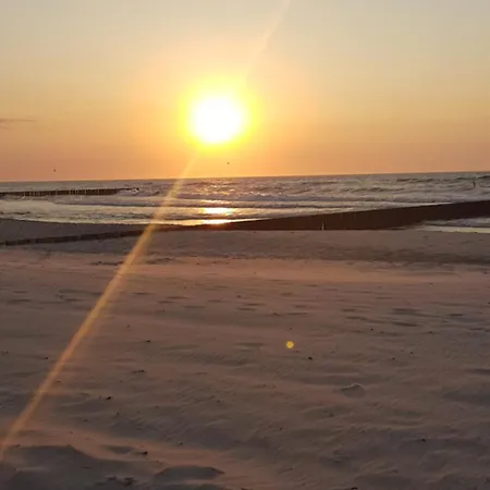 Grunwaldzka 105 Z Tarasem 5o M Do Plazy