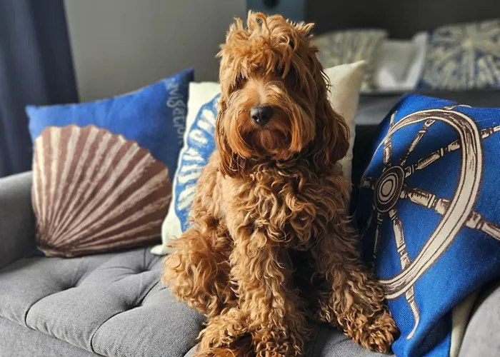 Grunwaldzka 105 Z Tarasem 5o M Do Plazy Apartmán Pobierowo