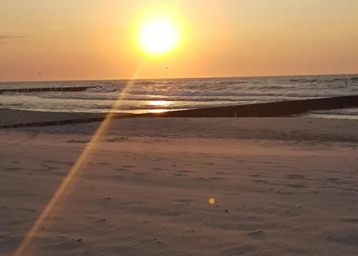 Grunwaldzka 105 Z Tarasem 5o M Do Plazy